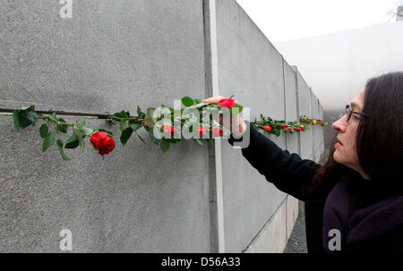 Eine Frau hält eine Rose in einen Riss der Mauer an der Bernauer Straße Gedenken sitzen in Berlin, Deutschland, 9. November 2010. Stunde der Erinnerung fand anlässlich des 21. Jahrestages des Mauerfalls The Wall. Foto: WOLFGANG KUMM Stockfoto