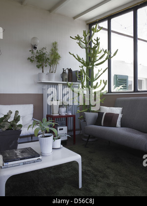 Wohnzimmer in einer italienischen traditionellen Wohnung mit vielen Pflanzen Stockfoto