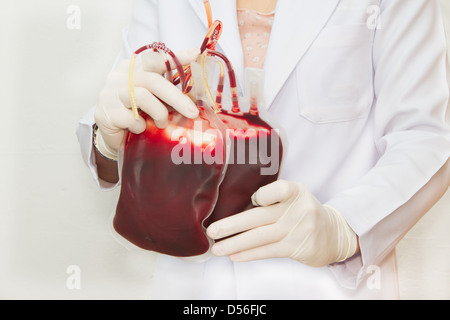 Arzt hält frische Spenderblut für Transfusionen Stockfoto