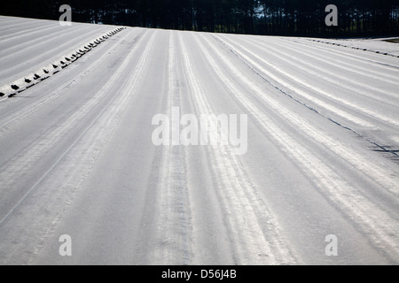 Ernte Schutz Vlies abdecken Feld Ernten, Wantisden, Suffolk, England Stockfoto