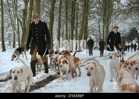 Die Beaufort-Jagd trainieren ihre Hunde im Badminton-Park waren, waren sie nicht in der Lage, durch den Schnee - Jäger zu Fuß mit jagen Stockfoto