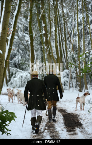 Die Beaufort-Jagd trainieren ihre Hunde im Badminton-Park waren, waren sie nicht in der Lage, durch den Schnee - Jäger zu Fuß mit jagen Stockfoto