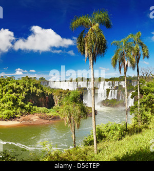 Iguaçu-Wasserfälle, die größten Serie von Wasserfällen der Welt, befindet sich an der brasilianischen und argentinischen Grenze Stockfoto