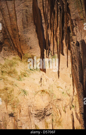 Stalaktiten und Stalagmiten in Höhlen von Postojna Slowenien Stockfoto