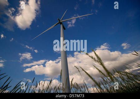 Nach oben eine große industrielle Windkraftanlage mit Rasen im Vordergrund. Stockfoto