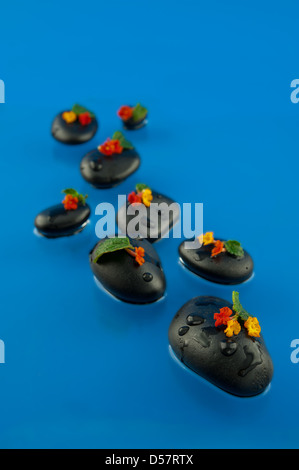 Glatte schwarze Kiesel im Wasser, bedeckt mit Blumen, fotografiert vor einem blauen Hintergrund kleine Schärfentiefe Stockfoto