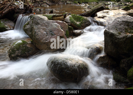 Szklarska Poreba, Polen, ein Wildbach in der Giant Mountains National Park Stockfoto