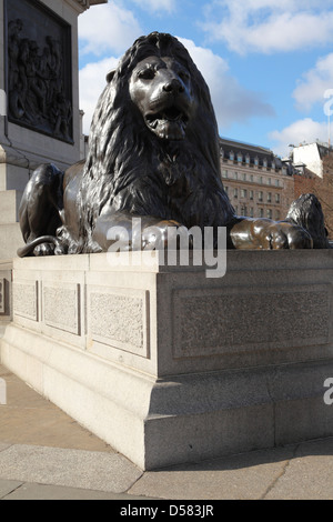 Löwenstatue am Fuße des Nelson Säule am Trafalgar Square in London, England. Stockfoto