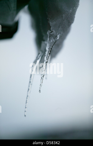 Eiszapfen hängen von der Ecke eines Gebäudes Stockfoto