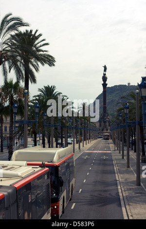 Busse am Passeig de Colom und Kolumbus-Denkmal, Barcelona, Katalonien, Spanien im Stadtteil Ciutat Vella Stockfoto