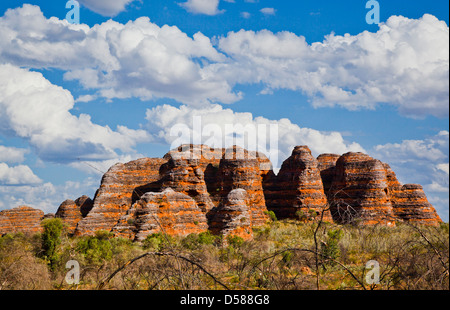 Bungle Bungle Nationalpark Purnululu, Blick auf den charakteristischen Bienenstock geformt Sandstein Kuppeln, Western Australia Stockfoto