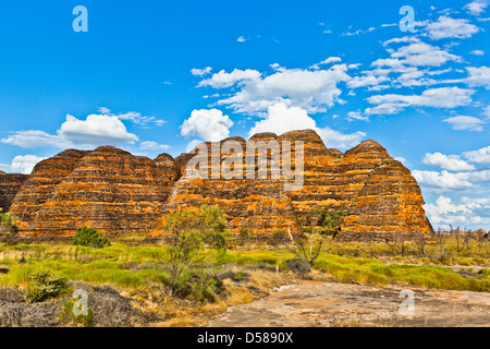 Bungle Bungle Nationalpark Purnululu, Blick auf den charakteristischen Bienenstock geformt Sandstein Kuppeln, Western Australia Stockfoto