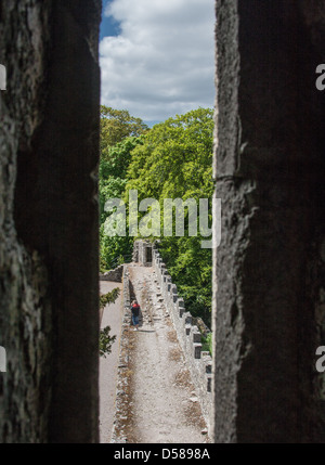 Foto von Irland, Europa Stockfoto