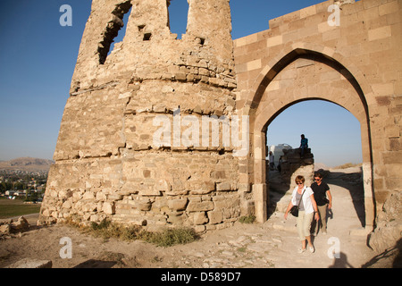 Tor, Burg, Stadt van, van-See, Süd-Ost-Anatolien, Türkei, Asien Stockfoto