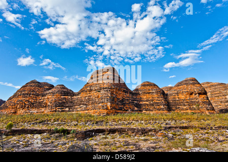 Bungle Bungle Nationalpark Purnululu, Blick auf den charakteristischen Bienenstock geformt Sandstein Kuppeln, Western Australia Stockfoto