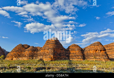 Bungle Bungle Nationalpark Purnululu, Blick auf den charakteristischen Bienenstock geformt Sandstein Kuppeln, Western Australia Stockfoto