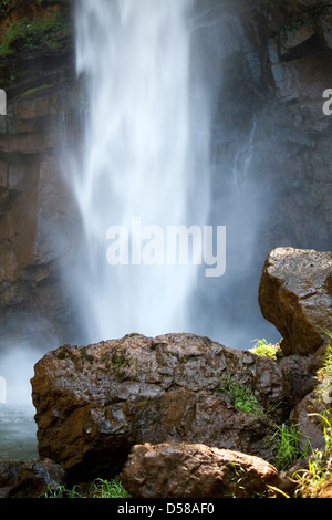 Der Brautschleier fällt in Mpumalanga, Südafrika Stockfoto