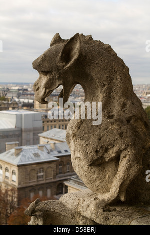 Wasserspeier an der Kathedrale Notre-Dame, Paris Stockfoto