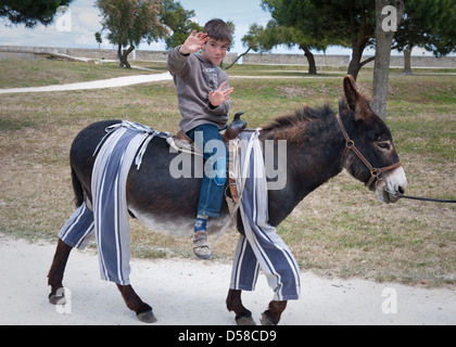 Esel Tragen Hosen St Martin Ile De R Frankreich Stockfotografie 