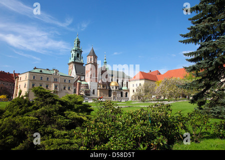 Wawel-Kathedrale ist eine römisch-katholische Kirche befindet sich am Wawel-Hügel in Krakau, Polen. Stockfoto