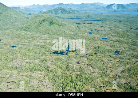 Eine Luftaufnahme von sumpfigen, wasserdurchnäßten Sumpfgebieten und Bergen im Great Bear Rainforest, an der zentralen Pazifikküste von British Columbia, Kanada. Stockfoto