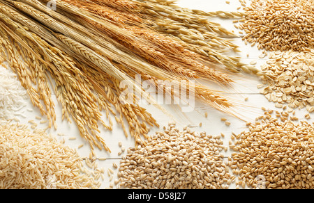 verschiedene Arten von Getreide und Körner vor weißem Hintergrund Holz Stockfoto