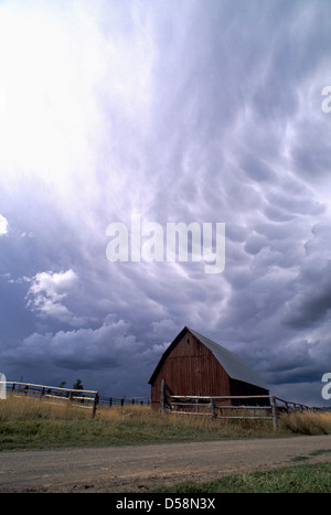 Gewitterwolken über Scheune im Harriman State Park im östlichen Idaho, USA Stockfoto