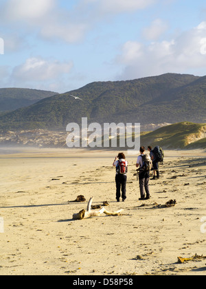 Feuerholz zu sehen, dass eine Flugzeug Flüge Stewart Island Pullover Wanderer und Feuerholz zum Strand in Mason Bay, Stewart Island liefert Stockfoto