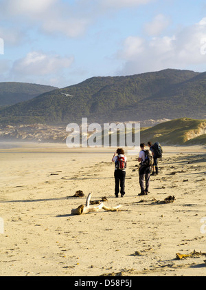 Feuerholz zu sehen, dass eine Flugzeug Flüge Stewart Island Pullover Wanderer und Feuerholz zum Strand in Mason Bay, Stewart Island liefert Stockfoto