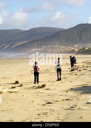 Feuerholz zu sehen, dass eine Flugzeug Flüge Stewart Island Pullover Wanderer und Feuerholz zum Strand in Mason Bay, Stewart Island liefert Stockfoto