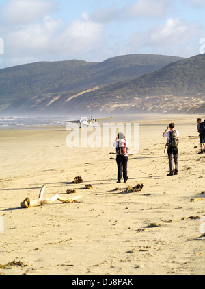 Feuerholz zu sehen, dass eine Flugzeug Flüge Stewart Island Pullover Wanderer und Feuerholz zum Strand in Mason Bay, Stewart Island liefert Stockfoto