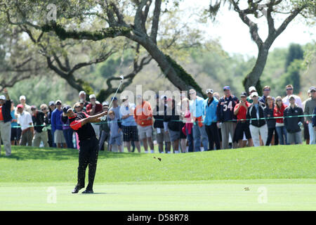 Tiger Woods (USA), 25. März 2013 - Golf: Tiger Woods der Vereinigten Staaten trifft seine dritten Schuss auf dem 12. Loch während der Endrunde der Arnold Palmer Invitational im Bay Hill Club und Lodge in Bay Hill, in der Nähe von Orlando, Florida, Vereinigte Staaten von Amerika. (Foto von Yasuhiro JJ Tanabe/AFLO) Stockfoto