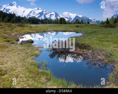 Pass des Arpille, Wallis, Schweiz Stockfoto