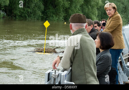 Bundeskanzlerin Angela Merkel (oben) checkt das Hochwasser von der deutsch-polnischen Grenzfluss Oder neben Matthias Freude (vorne), Präsident der staatlichen Umwelt Agentur in Frankfurt Oder, Deutschland, 29. Mai 2010. Am 28. Mai wurde Hochwasser Alarm Stufe 4 in Frankfurt Oder gegründet, weil Deiche überflogen worden, konnte. Das Hochwasser erreichte ihren Höhepunkt in Brandenburg mittlerweile Stockfoto