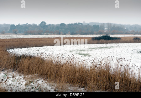 Cley Next Sea, Norfolk, England. März 2013 Cley Marshes und Schilfgürtel im Schnee mit Blick auf Blakeney Kirche bedeckt. Stockfoto