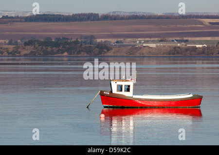 Zeitigen Frühjahr. Montrose Basin Angus Schottland UK Stockfoto