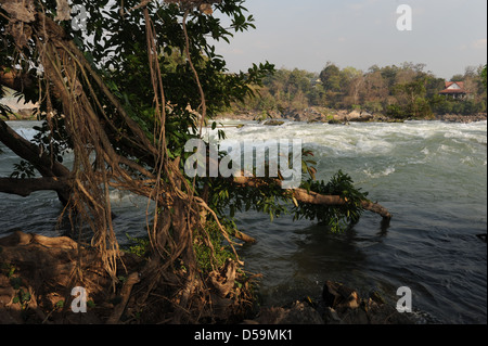 Wasserfall der Khone Phapheng auf 4000 Inseln in Laos Stockfoto