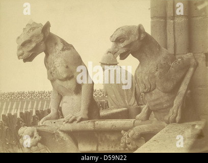 Ein Foto der Kathedrale Notre Dame de Paris mit Schwerpunkt auf dem Turm und den Grotesken. Das Bild ist Teil der Sammlung religiöser Architektur der Cornell University Library. Stockfoto