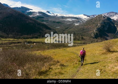 Walker mit entfernten schneebedeckten Bergen, französischen Pyrenäen Stockfoto