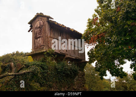 Horreo, ein Maisschuppen oder Krippenspeicher, der zur Trocknung und Lagerung von Mais im ländlichen Galicien in Spanien verwendet wird Stockfoto