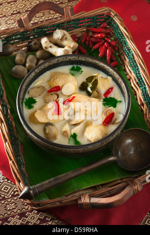 Tom Kha Gai Huhn Kokosnuss und Galgant Suppe Thailand Essen Stockfoto