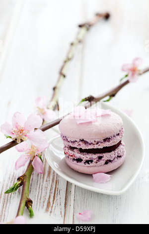 Französische Macarons in rosa, verziert mit Kirschblüten Stockfoto