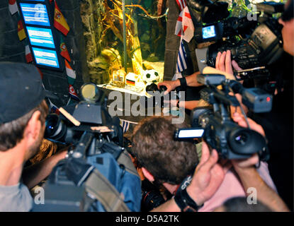 Journalisten-Gerangel vor dem Aquarium von Krake Paul im Sea Life in Oberhausen, Deutschland, die Oracle-Prophezeiung des Octopus Paul, 9. Juli 2010 zu erleben. Paul hat zwei Plexiglas-Boxen mit einer deutschen und einer uruguayischen Fahne dekoriert und gefüllt mit einer Schale in seinem Tank, aus denen er während seiner Fütterung ein Genuss nehmen kann. Paul hat beschlossen, die deutsche Shell, welche mea Stockfoto