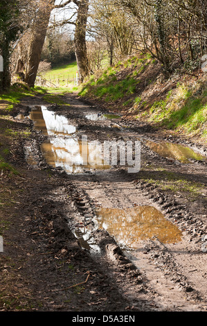 Aufgeweichten öffentlichen Fußweg und rechts des Weges im Lande in der Nähe von Hassall grün Cheshire England Vereinigtes Königreich UK Stockfoto