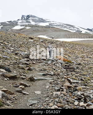 Wanderer, Klettern auf den Gipfel Veleta in der Sierra Nevada Stockfoto