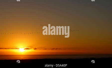 Sonnenuntergang am Kap der guten Hoffnung, Südafrika Stockfoto