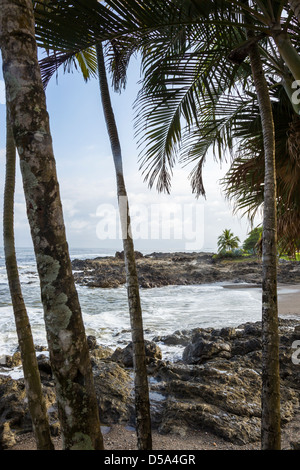 Palmen und Meer am Playa Montezuma in der Provinz von Costa Rica Puntarenas. Stockfoto