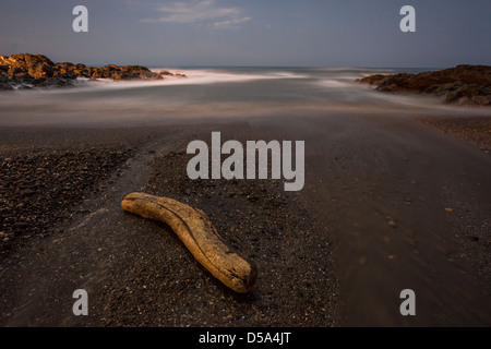 Wellen Waschen felsigen Strand in der Nacht, Playa Montezuma, Puntarenas Provinz von Costa Rica. Stockfoto