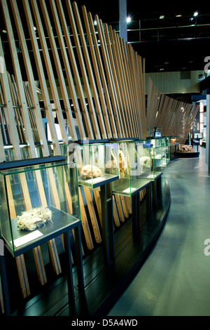 CosmoCaixa-Museum, Barcelona, Spanien Stockfoto