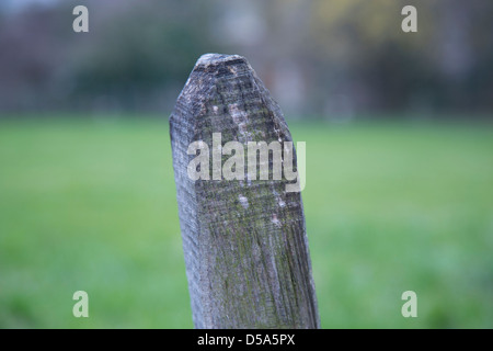 Ein Holzzaun Post vor einem grünen Hintergrund. Genommen in Basel, Schweiz Stockfoto